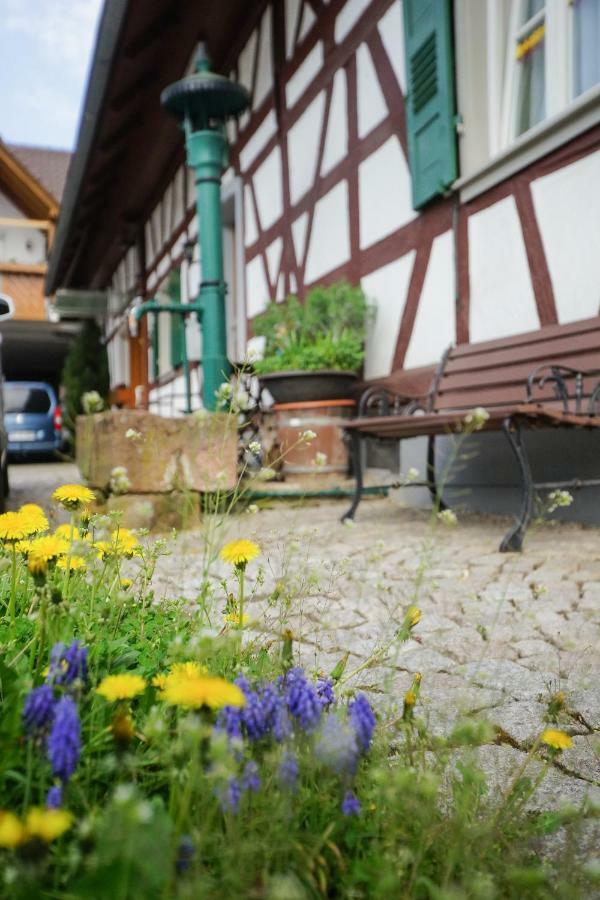 Apartment Kirschbluete أبينفير المظهر الخارجي الصورة
